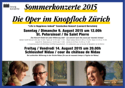 Sommerkonzerte 2015 Die Oper im Knopfloch Zürich