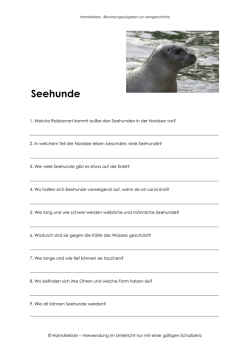 PDF-Datei - Hamsterkiste