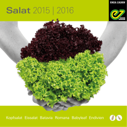 Salat 2015 | 2016