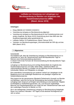 Leitfaden zur Umsetzung von Lehrgängen zur Berufserprobung im