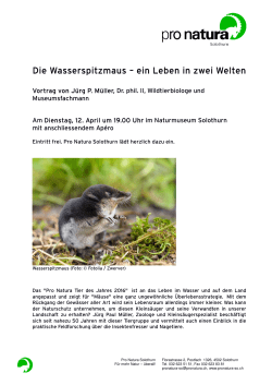 Die Wasserspitzmaus &ndash; ein Leben in zwei Welten