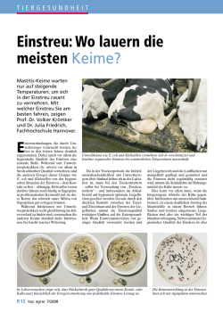 Einstreu: Wo lauern die meisten Keime?