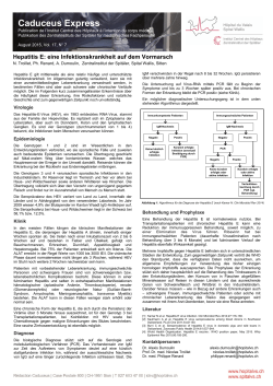 Hepatitis E: eine Infektionskrankheit auf dem Vormarsch