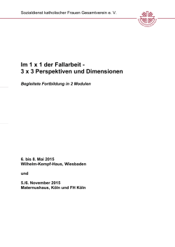 Im 1 x 1 der Fallarbeit - 3 x 3 Perspektiven und Dimensionen