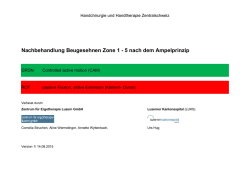 Nachbehandlung Beugesehnen Zone 1 - 5