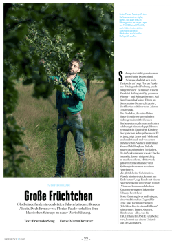 Gro&szlig;e Fr&uuml;chtchen