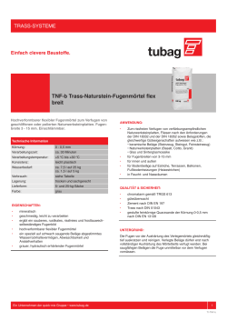 TNF-b Trass-Naturstein-Fugenmörtel flex breit - Quick-Mix