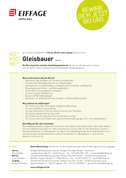Gleisbauer - Eiffage Rail