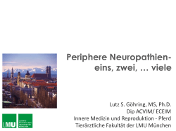 Periphere Neuropathien