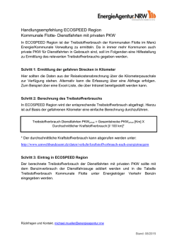 Handlungsempfehlung ECORegion Kommunale Flotte