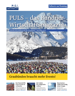 PULS-Magazin (November 2015)