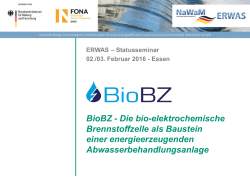 BioBZ - Die bio-elektrochemische Brennstoffzelle - NaWaM
