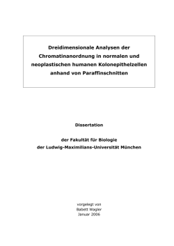 Dreidimensionale Analysen der Chromatinanordnung in normalen
