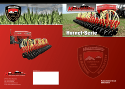 Hornet-Serie - Hatzenbichler