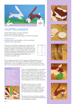 hoppelhasen - Hase Weiss