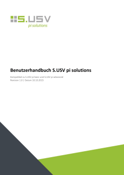 Benutzerhandbuch S.USV pi solutions