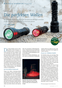 Die perfekten Wellen