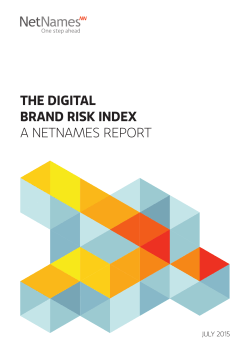NetNames Brand Risk Index Report 2015