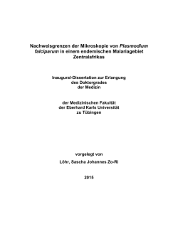 Dissertation Sascha L&ouml;hr 2015