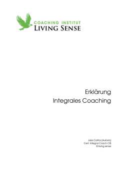 Erklärung Integrales Coaching