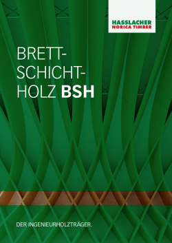 BRETT- SCHICHT- HOLZ BSH - Hasslacher Norica Timber