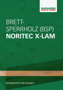 BRETT- SPERRHOLZ (BSP) NORITEC X-LAM