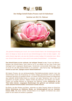 Seminar Scho&szlig;-Chakra-Prozess