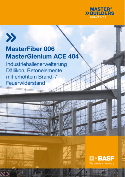 Projektbericht BASF