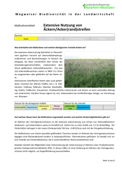 Ma&szlig;nahmenblatt Extensive Nutzung von &Auml;ckern/Acker(rand)streifen