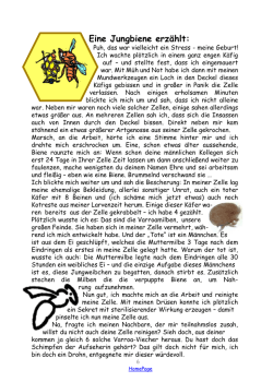 Eine Jungbiene erz&auml;hlt