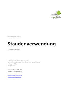 Grundlagenskript Staudenverwendung