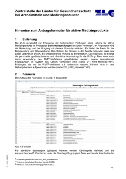 Hinweise zum Geltungsbereich