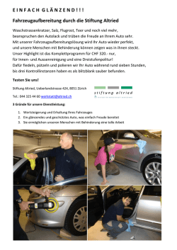 EINFACHGL &Auml; NZEND ! ! ! Fahrzeugaufbereitung durch die
