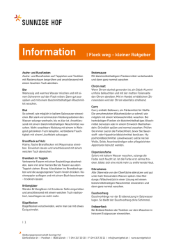 Information | Fleck weg &ndash; kleiner Ratgeber