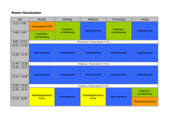 Muster-Stundenplan