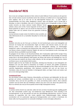 Steckbrief REIS