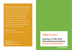 Viva Luzern Sprung in die Berufswelt