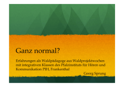 151117 Waldpädagogik Sprung