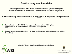Info zur Bestimmung des Austriebs