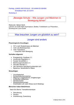 Handout WS 4 - LAG Jungenarbeit