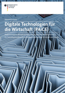 Digitale Technologien f&uuml;r die Wirtschaft (PAiCE)