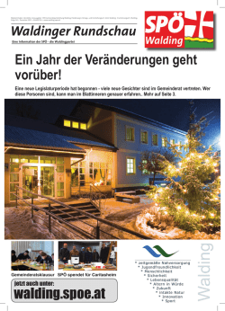 Ein Jahr der Ver&auml;nderungen geht vor&uuml;ber! walding.spoe.at