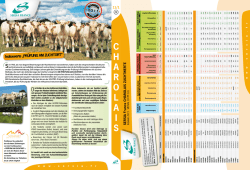 Indexwerte PR&Uuml;FUNG AM ZUCHTORT - Charolais