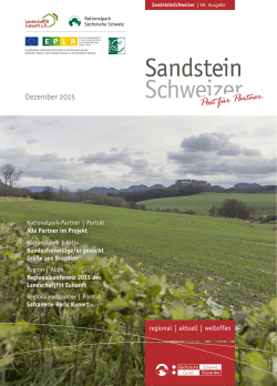 69. Sandstein Schweizer