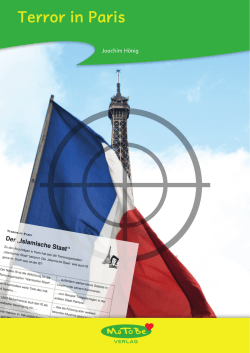 Joachim H&ouml;nig: Terror in Paris - Matobe