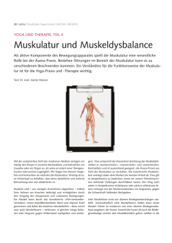 Muskulatur und Muskeldysbalance