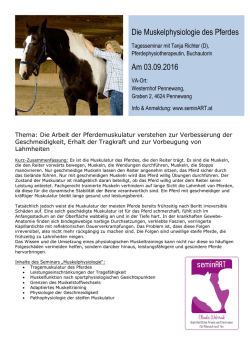 Informationen: Kursinhalte, Kurszeiten