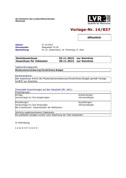 Musterzielvereinbarung Pers&ouml;nliches Budget