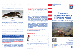 Flyer Invasive Krebse - Regierungspräsidium Gießen