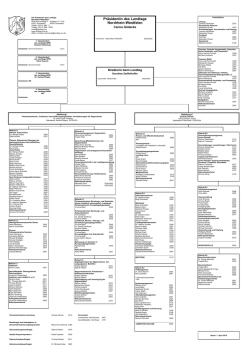Organigramm